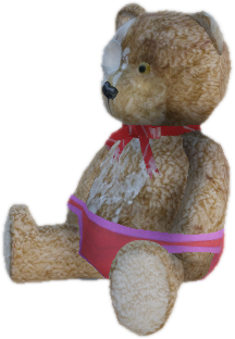 P mr raspberry 01 s