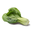 Pak choi