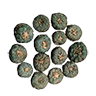 Peyote button