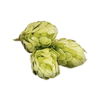Plant hop