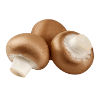 Pmushrooms