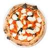 Pnapollitano