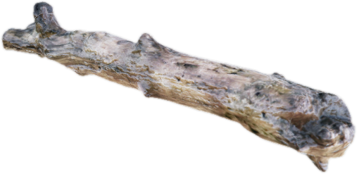 Prop tree log 01
