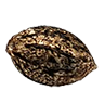 Rainbowbelts seed