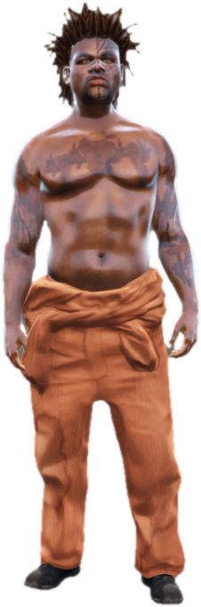 S m y prismuscl 01