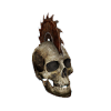 Saw skull