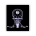 Sbs xray