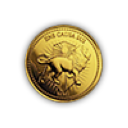 Secret coin
