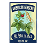 Seed american ginseng