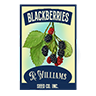 Seed black berry