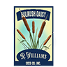 Seed bulrush