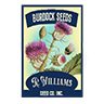 Seed burdock root