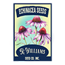 Seed echinacea