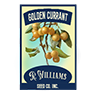 Seed golden currant