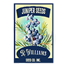 Seed juniper