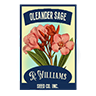 Seed oleander sage