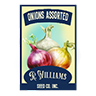 Seed onion assorted