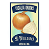 Seed onion vidalia