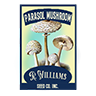 Seed parasol mushroom