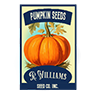 Seed pumpkin