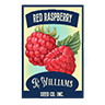 Seed red raspberry