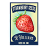 Seed strawberry