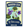 Seed violet snowdrop