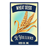 Seed wheat