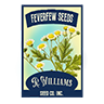 Seed wild feverfew