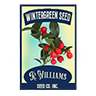 Seed wintergreen berry