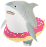Shark boi