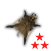 Skin boar illegal