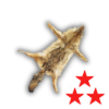 Skin coyote illegal