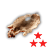 Skin rat illegal