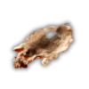 Skin rat