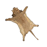 Skin cougar