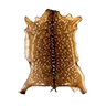 Skin deer