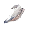 Skin dolphin