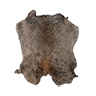 Skin rabbit