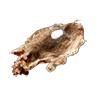 Skin rat