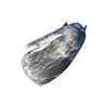 Skin whale