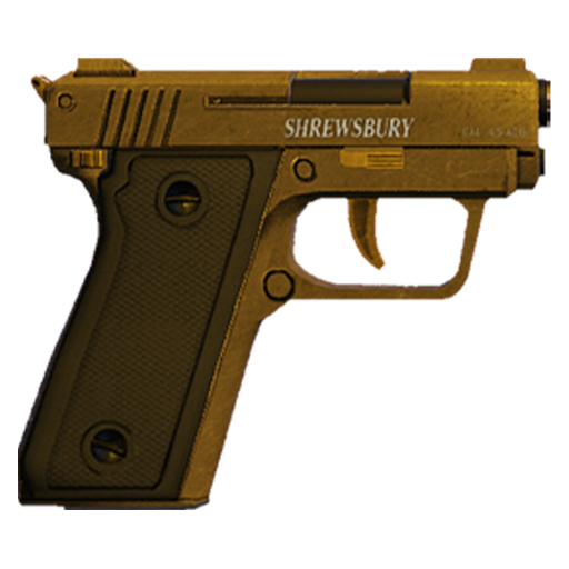 Snspistol 2