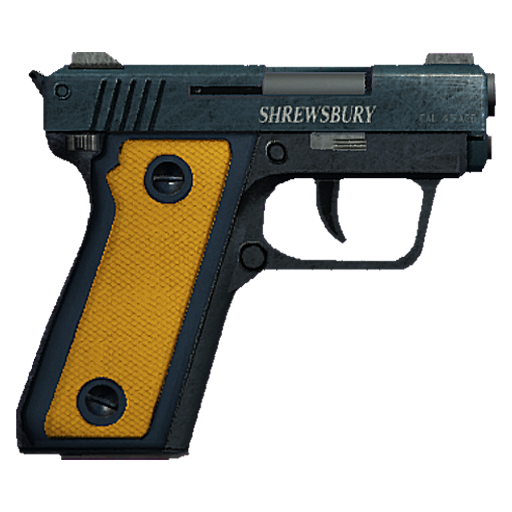 Snspistol 5