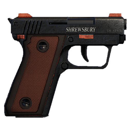 Snspistol 6
