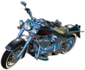 Softail1