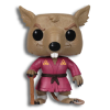 Splinter