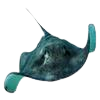 Stingray