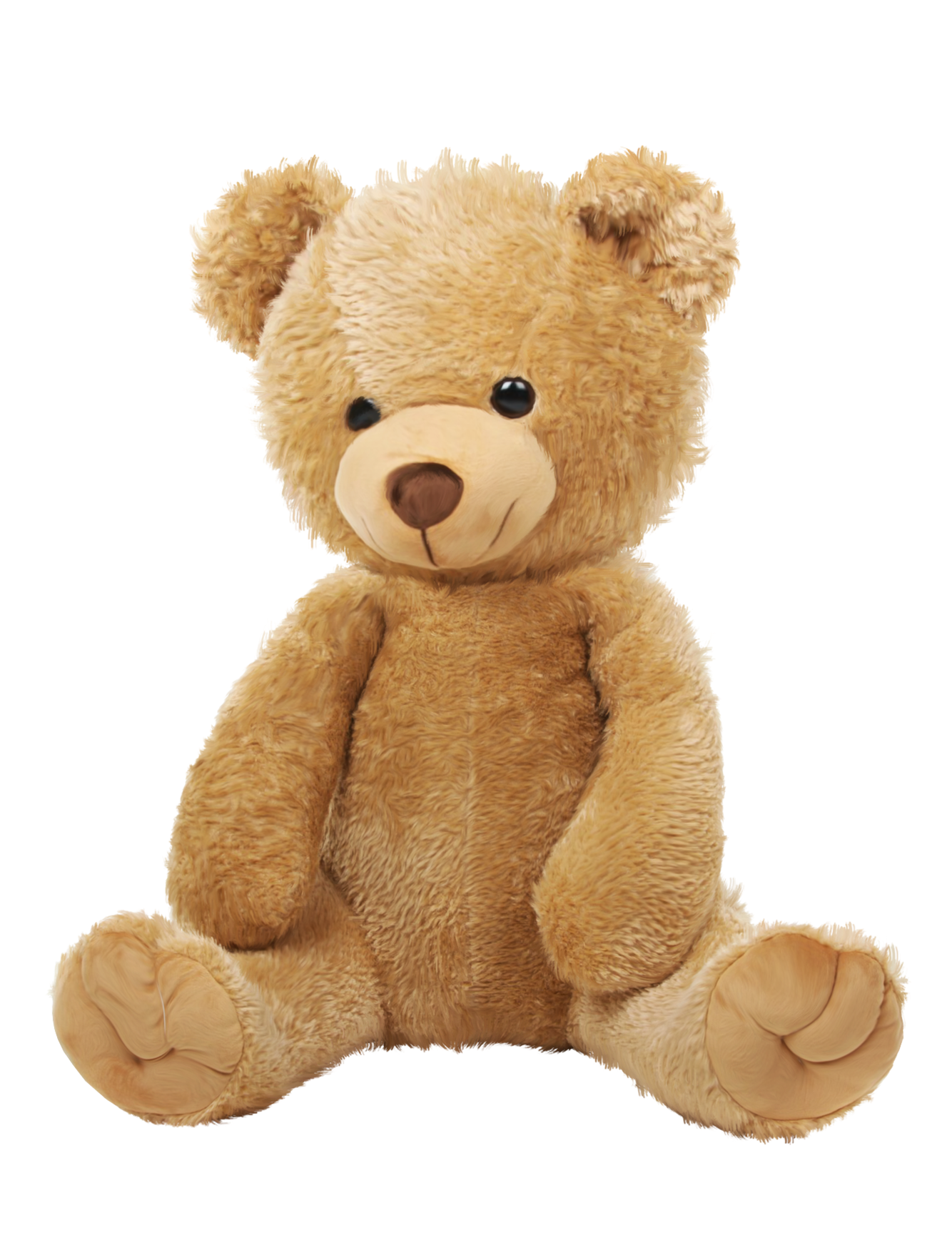 Teddy