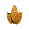 Tobacco