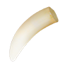 Tooth alligator
